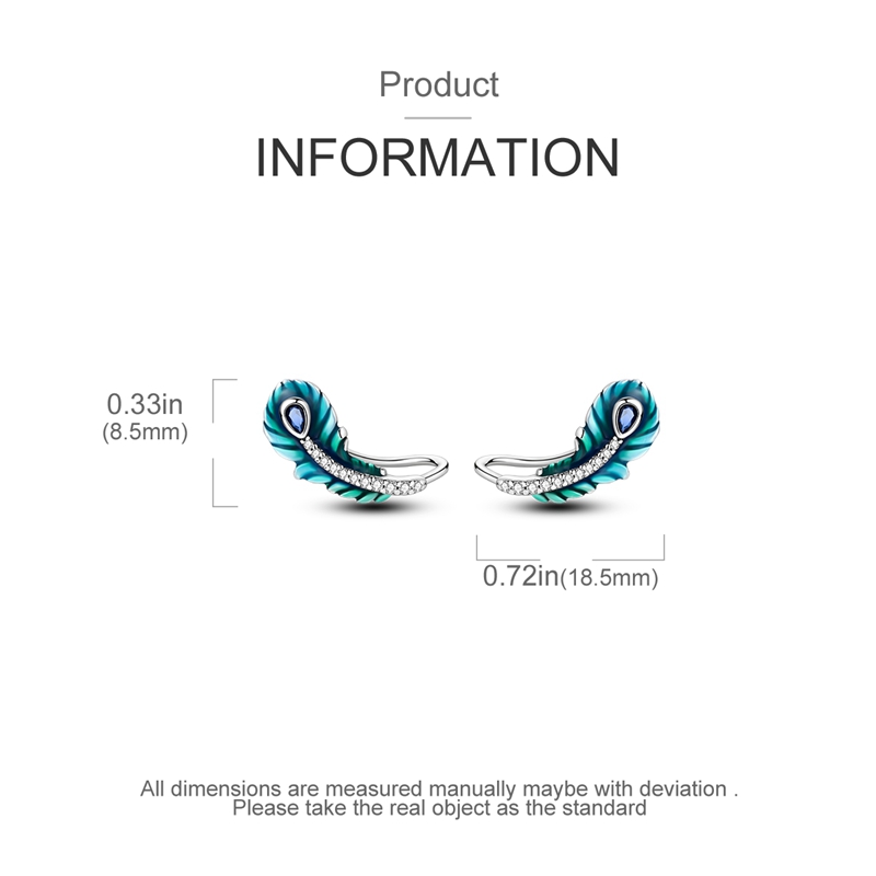 Women's S925 Hypoallergenic Classic Hoop Earrings